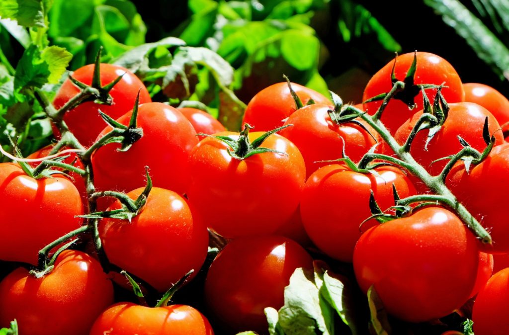 Tomaten | natürlicher Fatburner